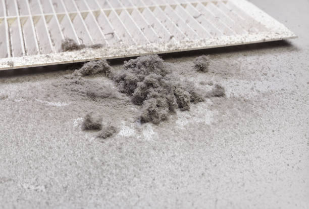 Best Emergency Air Duct Cleaning  in Cedar Falls, IA