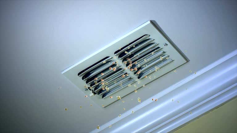 Best Best Air Duct Cleaning Company  in Cedar Falls, IA