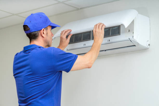 Best Air Duct Mold Removal  in Cedar Falls, IA