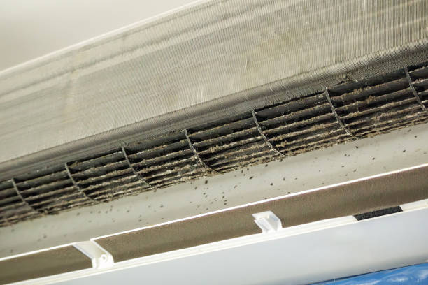 Best HVAC Air Duct Cleaning  in Cedar Falls, IA