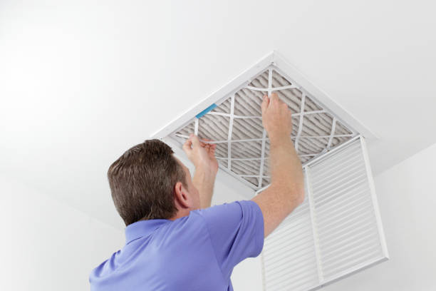 Best Ductwork Cleaning Services  in Cedar Falls, IA
